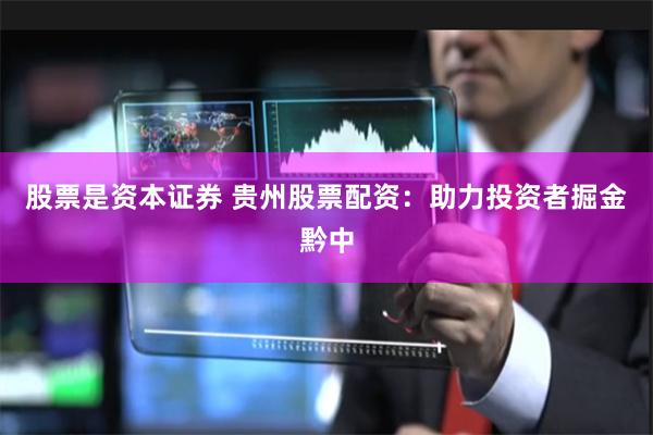 股票是资本证券 贵州股票配资：助力投资者掘金黔中