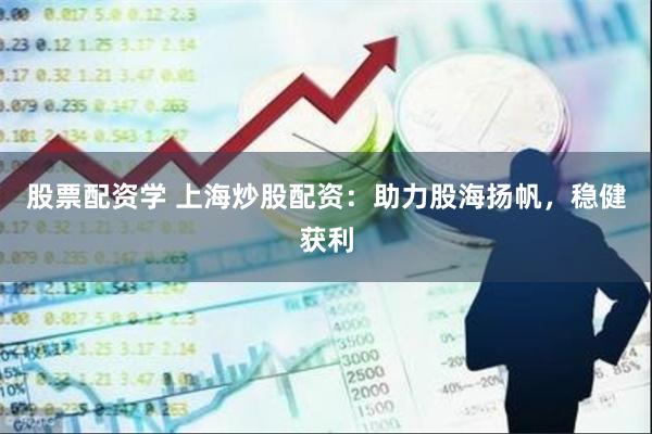 股票配资学 上海炒股配资：助力股海扬帆，稳健获利